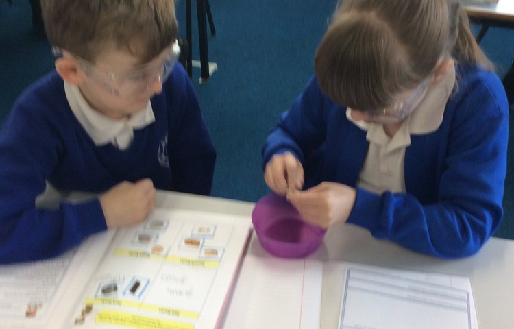 Image of Class 3 Get Experimenting! 