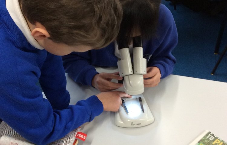 Image of Microscopes in Class 3