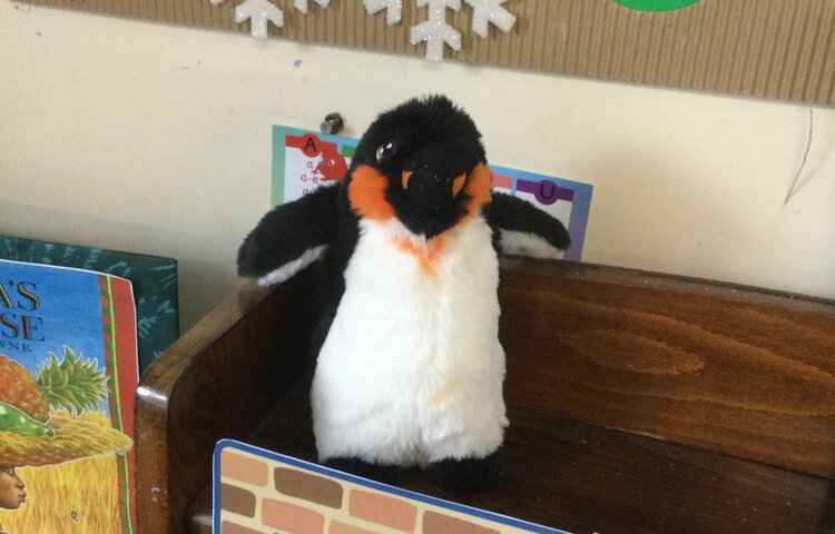 Image of Missing Penguin!
