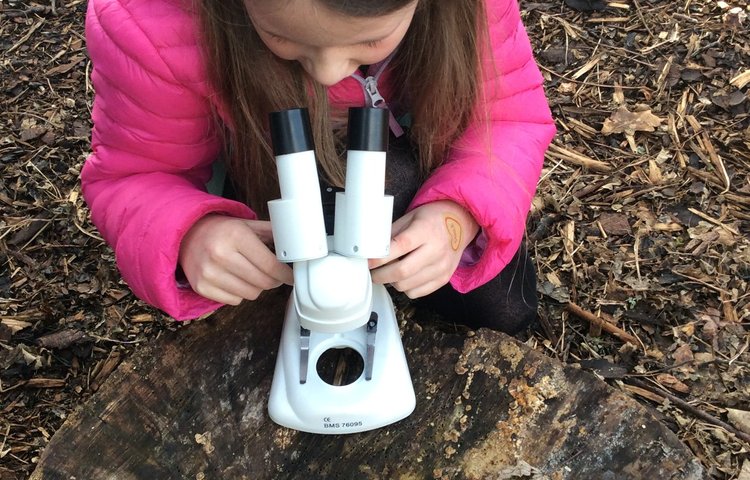 Image of Exploring with Microscopes 