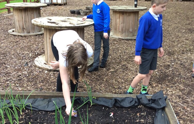 Image of Exploring the outdoor classroom 