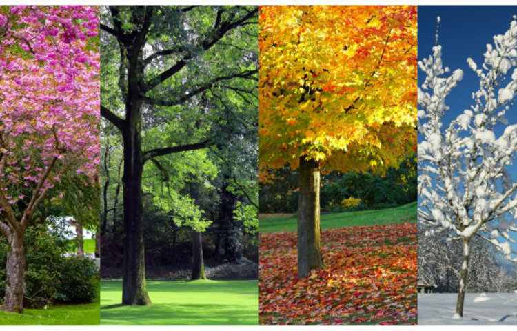 Image of Seasons