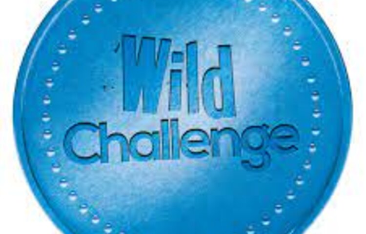 Image of Wild Challenge!
