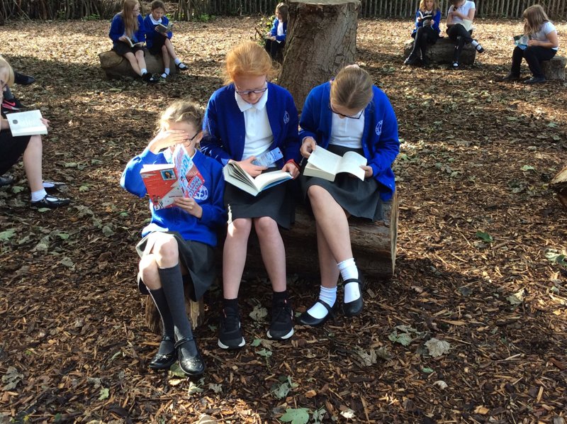 Image of Relaxed outside reading
