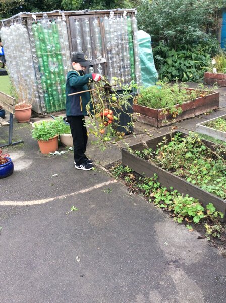 Image of Tidying up the gardens